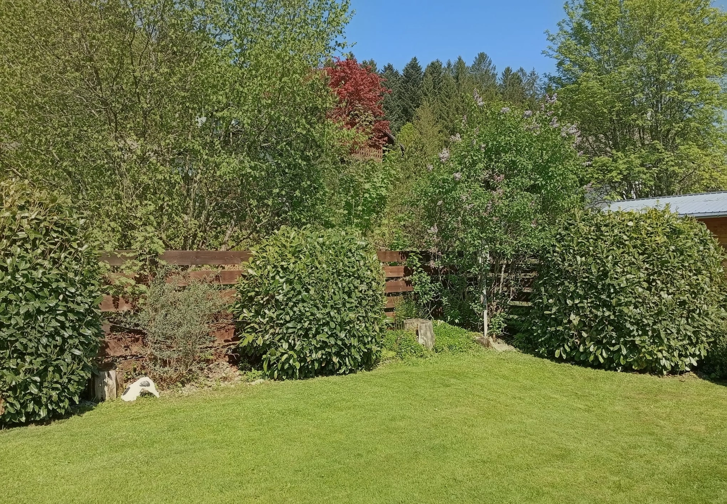 Ferienwohnungen Buchung Preise Verfügbarkeit Unterkunft Belegungsplan Ferienwohnung Herrischried Ferienhaus Schwarzwald Ferienwohnung Schwarzwald Urlaub mit Hund Ferienhaus mit Haustieren Schwarzwald Urlaub Ferienwohnung im Schwarzwald
