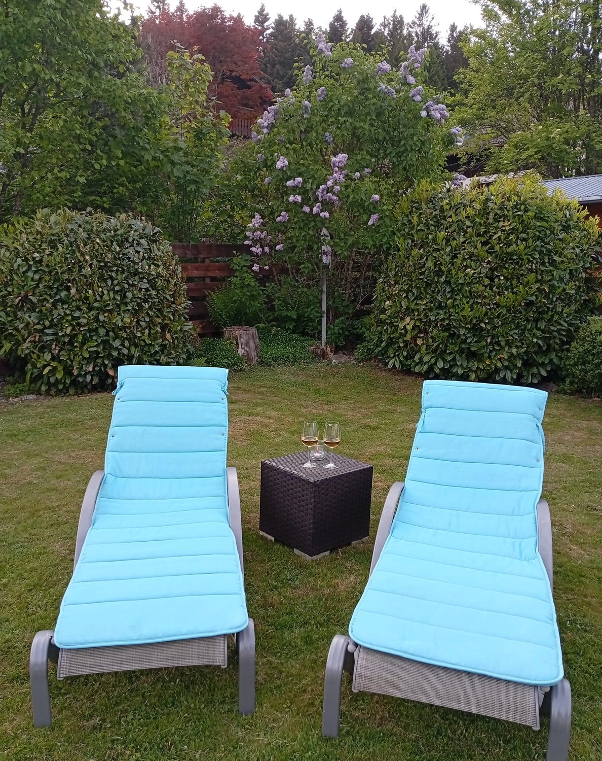 Ferienwohnungen Buchung Preise Verfügbarkeit Unterkunft Belegungsplan Ferienwohnung Herrischried Ferienhaus Schwarzwald Ferienwohnung Schwarzwald Urlaub mit Hund Ferienhaus mit Haustieren Schwarzwald Urlaub Ferienwohnung im Schwarzwald